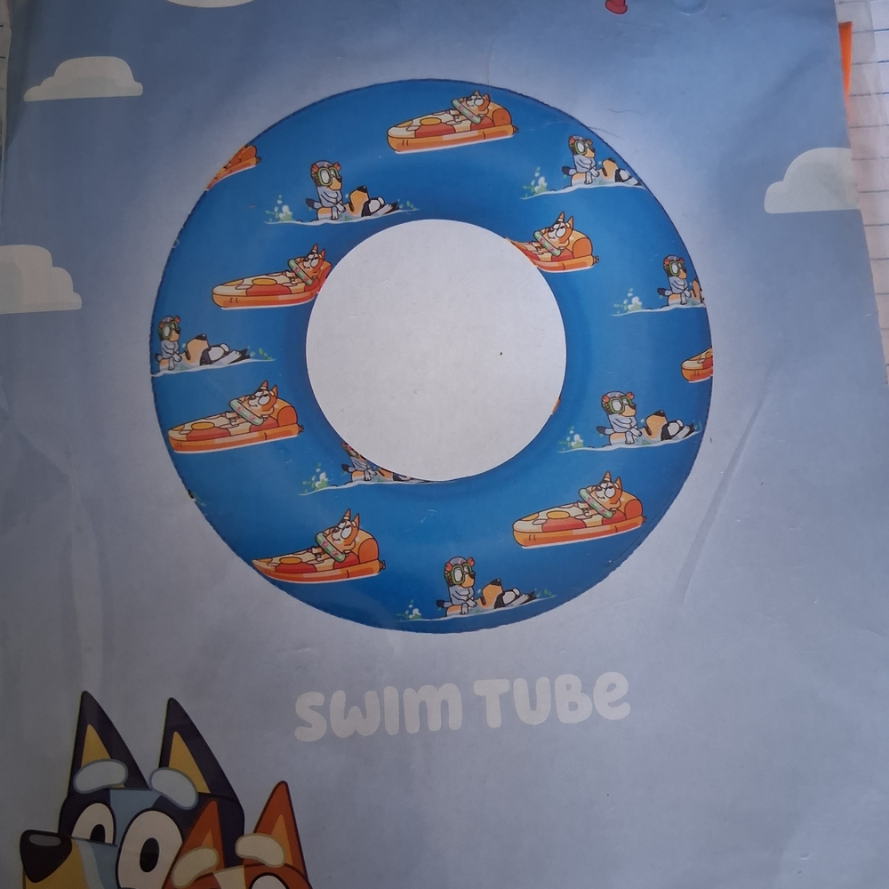Bluey Kids Blue Cartoon Swim Tube - Unbranded